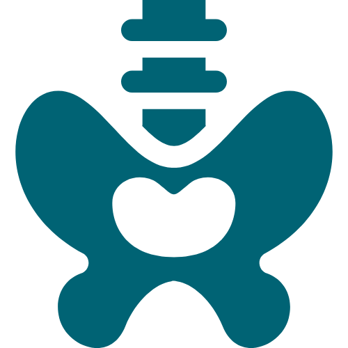 pelvic icon