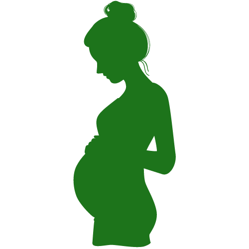 pregnancy icon
